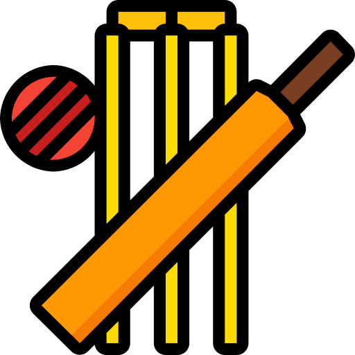 Mini Cricket Stadium